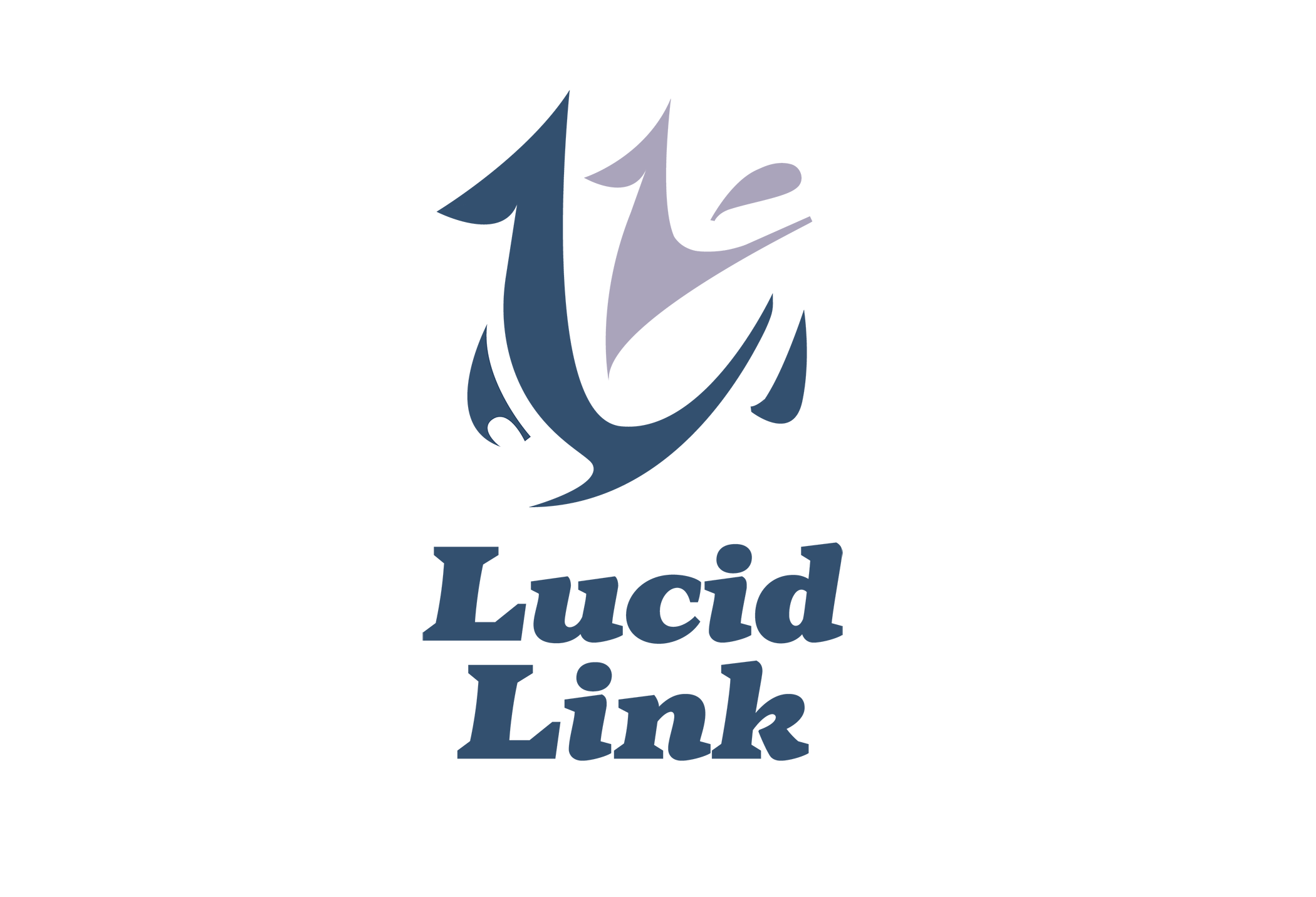 LL logo 2